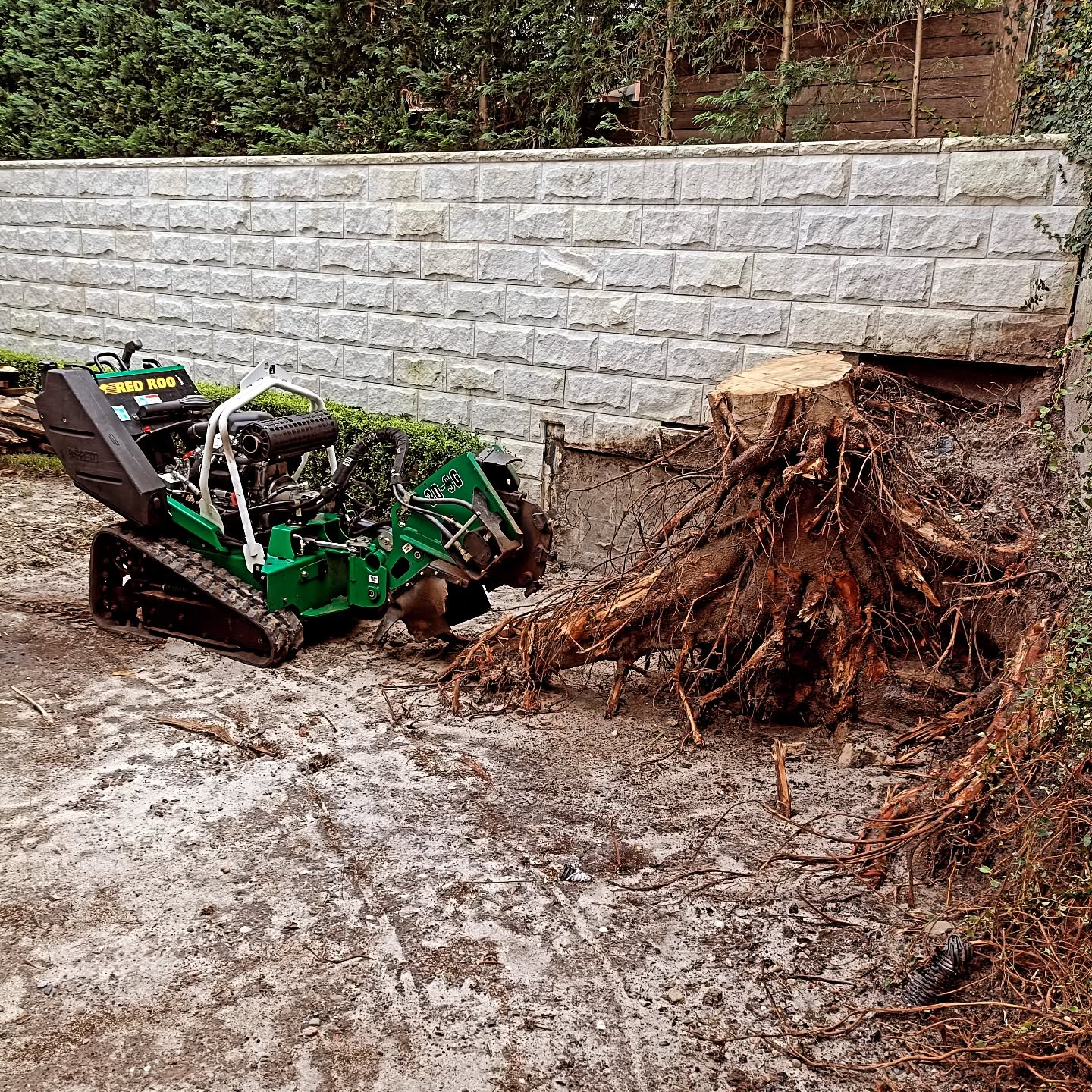 Professional Stump Grinding