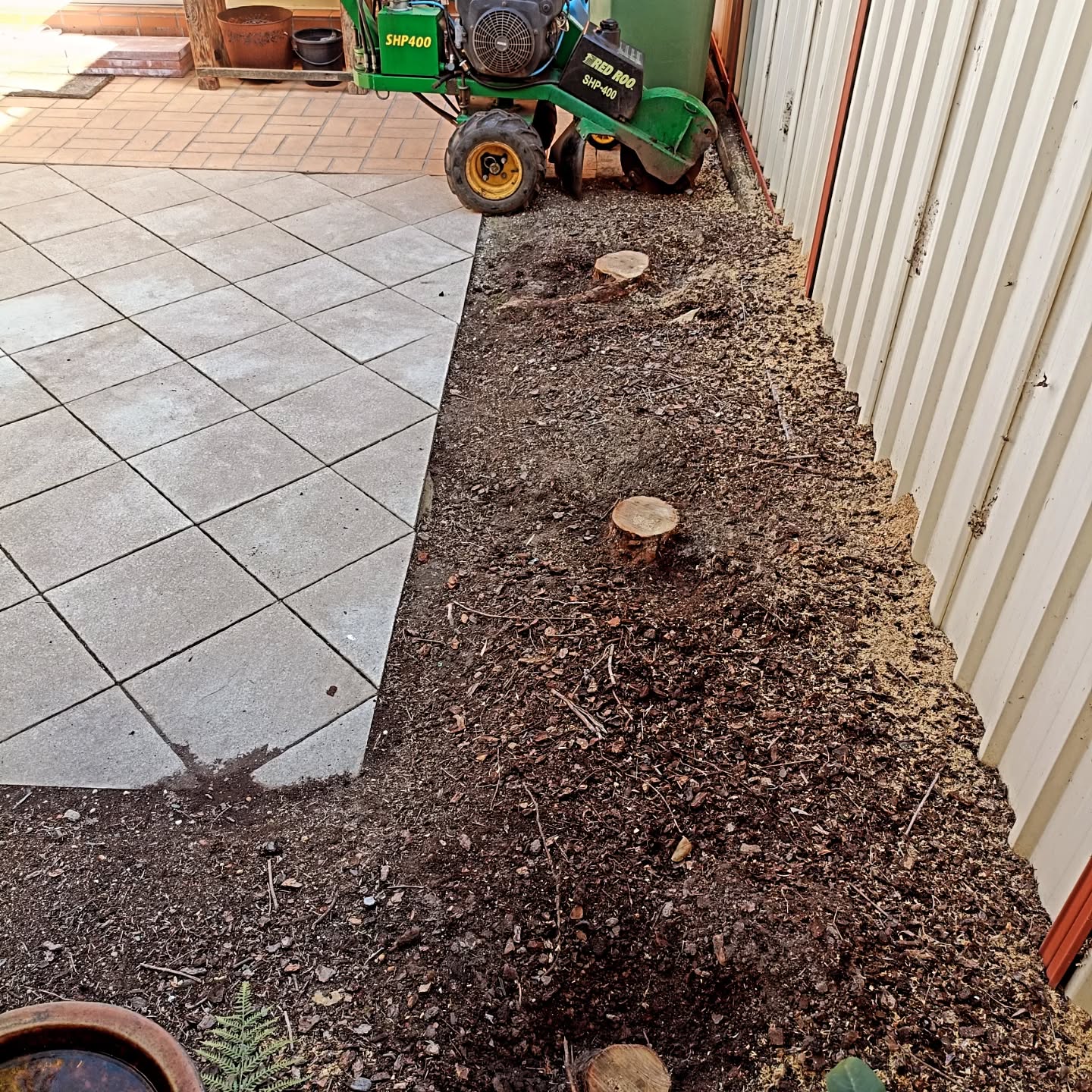 Tree Service Complete