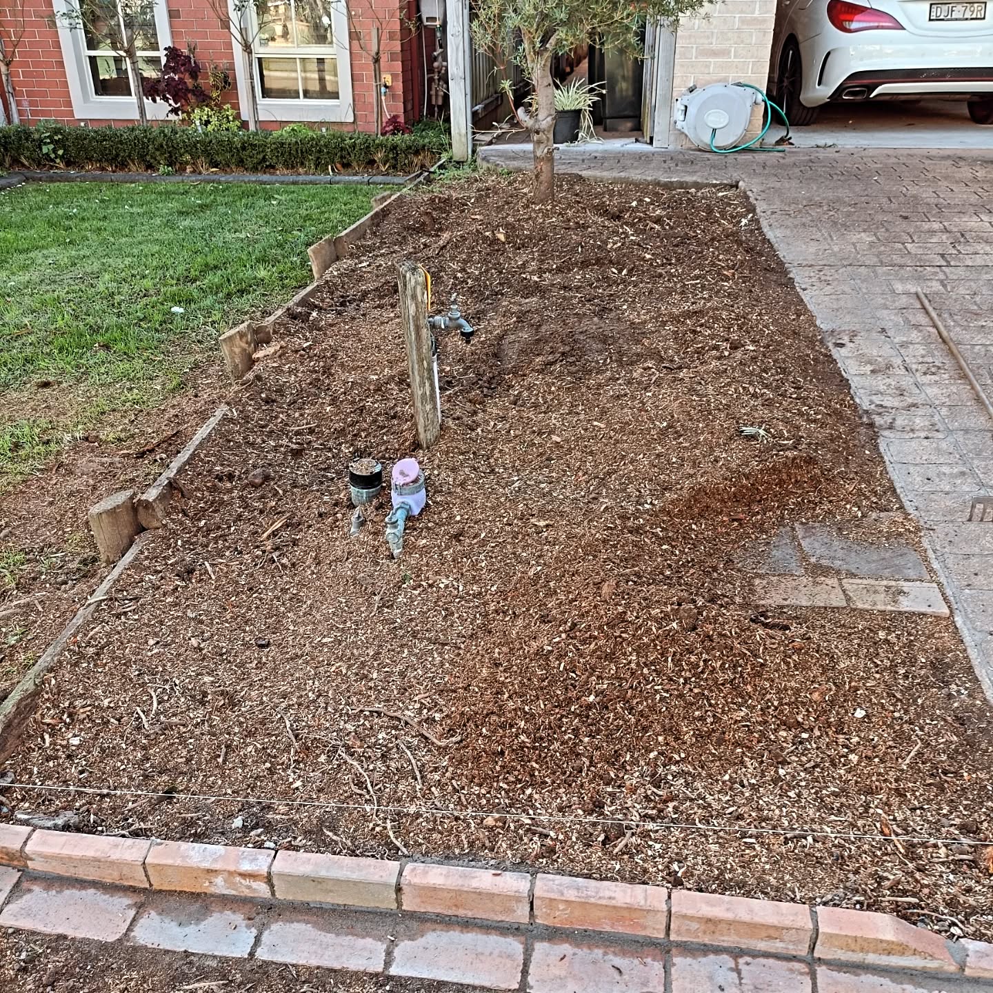Tree Service Complete